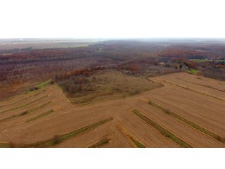 Property photo 12 - MAJOR ILLINOIS LAND AUCTION - 809+/- ACRES IN 12 TRACTS IN PIATT COUNTY, ILLINOIS